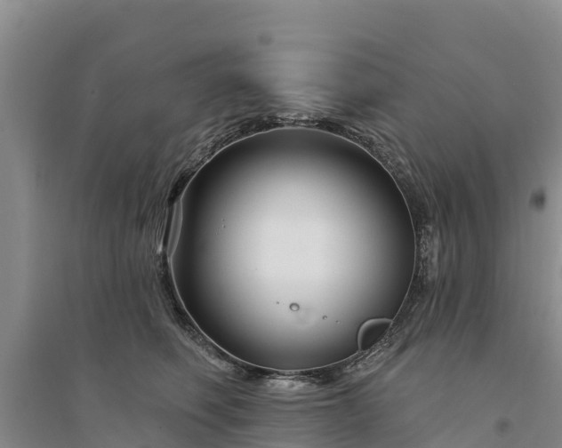 X0000094330614200711091406