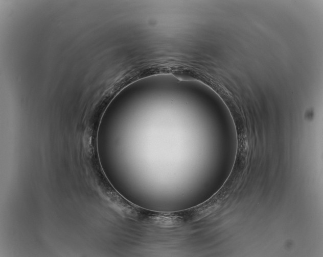 X0000094330615200711091406