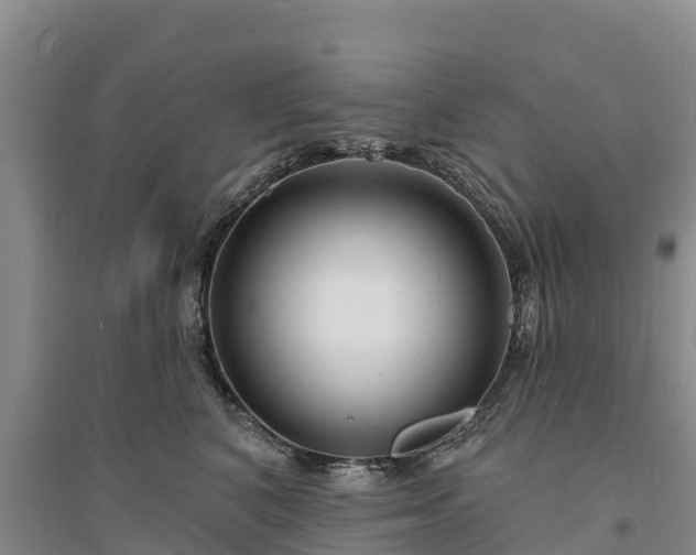 X0000094330616200711091406