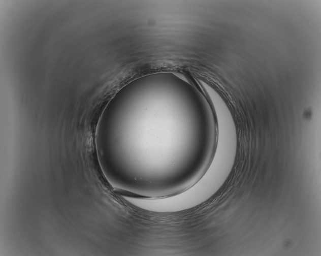 X0000094330617200711091406