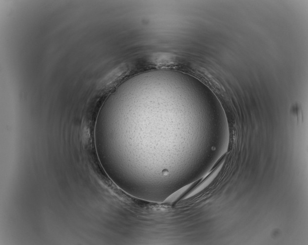 X0000094330618200711091406