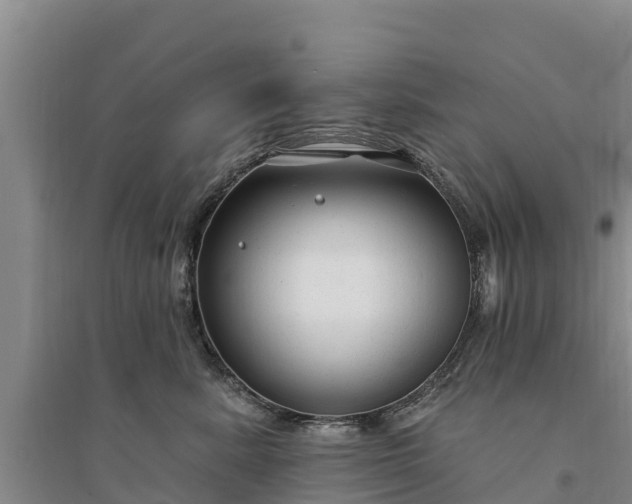 X0000094330619200711091406