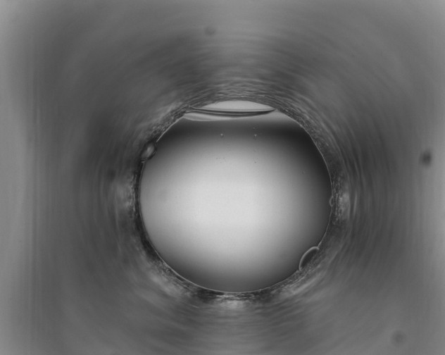 X0000094330620200711091406