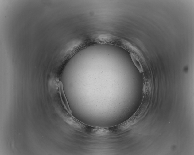 X0000094330621200711091406