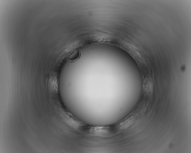 X0000094330622200711091406