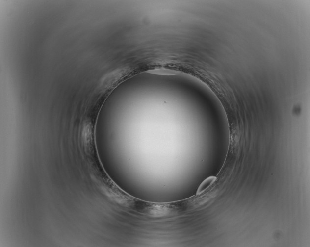 X0000094330623200711091406