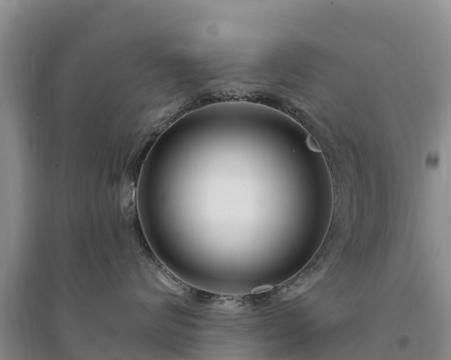 X0000094330624200711091406