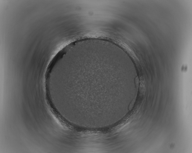 X0000094330626200711091406