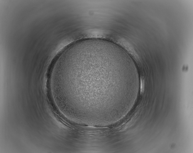 X0000094330627200711091406