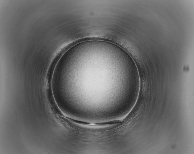 X0000094330628200711091406