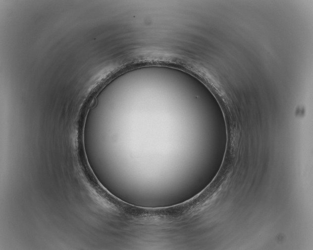 X0000094330629200711091406