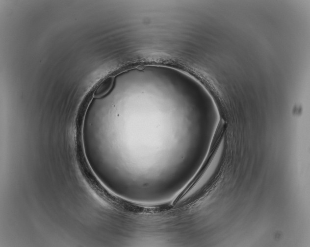 X0000094330630200711091406