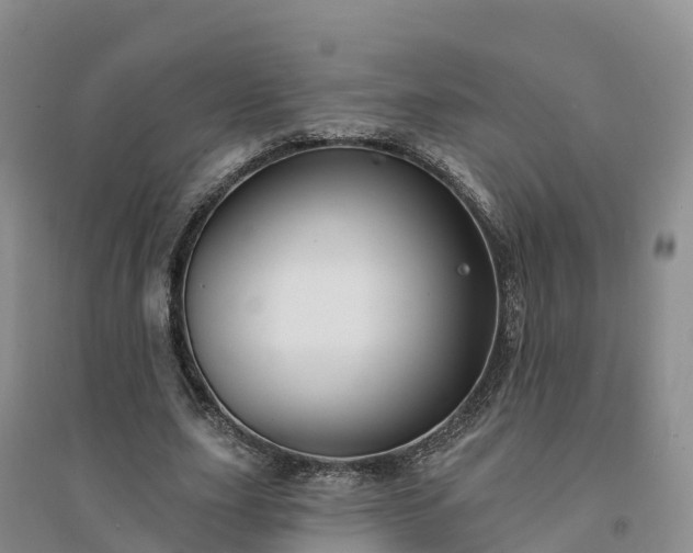 X0000094330631200711091406