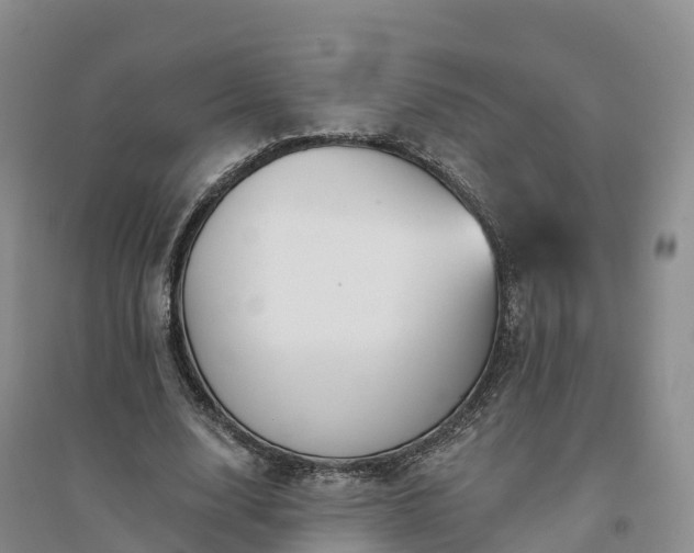 X0000094330632200711091406