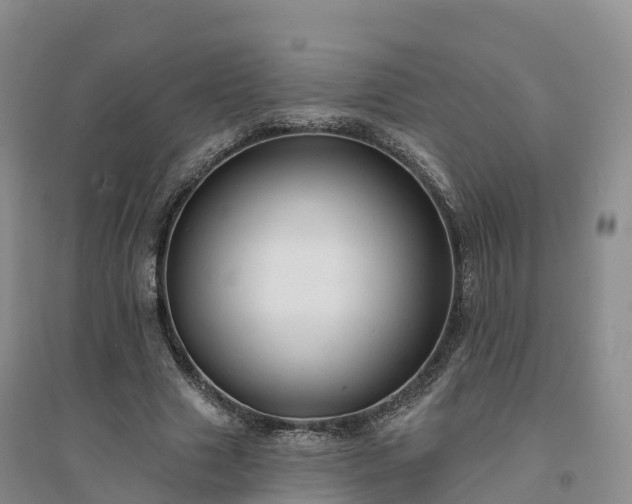 X0000094330633200711091406