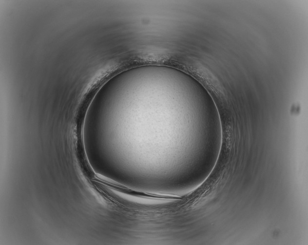 X0000094330634200711091406