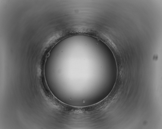 X0000094330635200711091406
