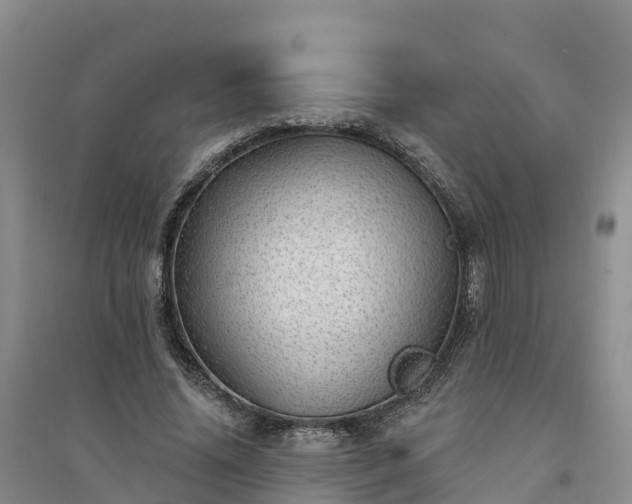 X0000094330636200711091406