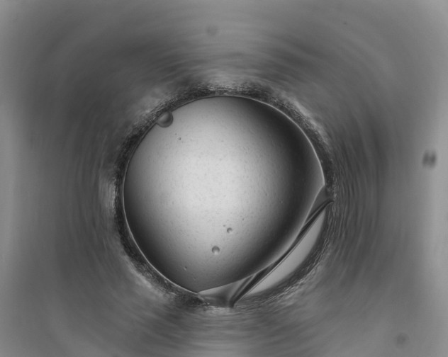 X0000094330637200711091406