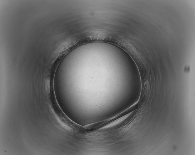 X0000094330638200711091406