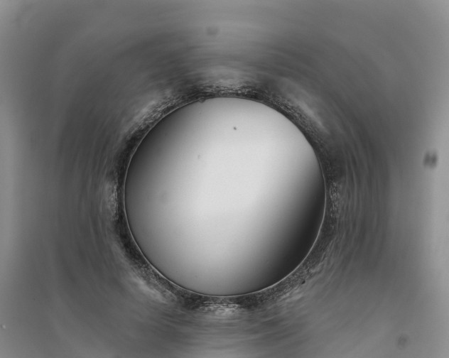 X0000094330642200711091406