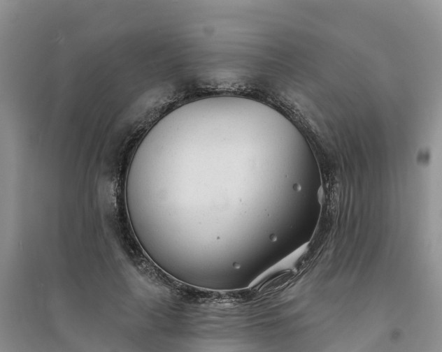 X0000094330643200711091406