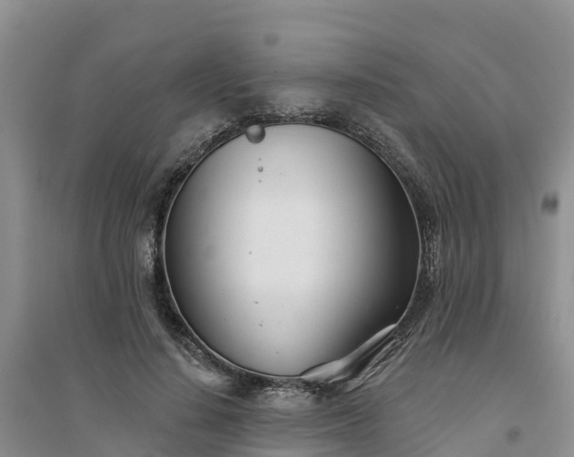 X0000094330644200711091406