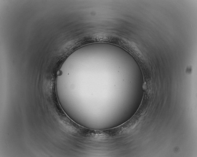 X0000094330645200711091406
