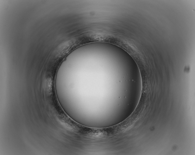 X0000094330646200711091406