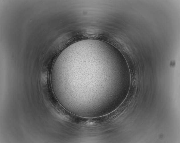 X0000094330647200711091406