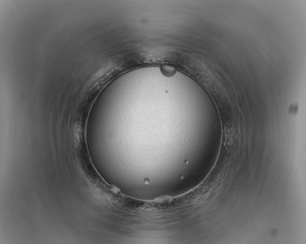 X0000094330648200711091406