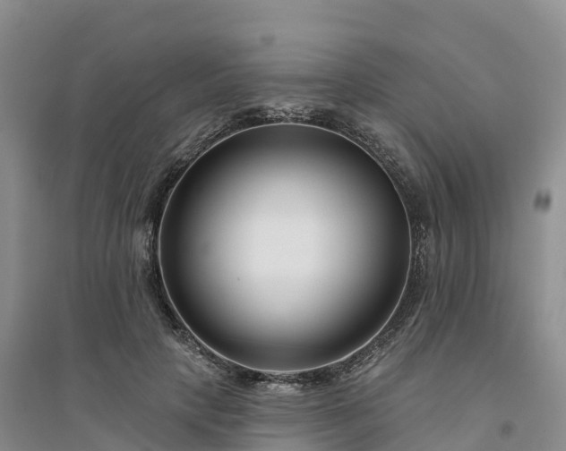 X0000094330649200711091406