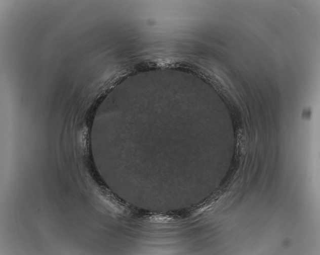 X0000094330650200711091406