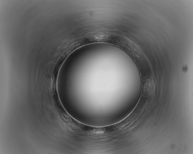 X0000094330651200711091406