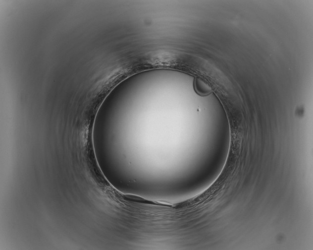 X0000094330652200711091406