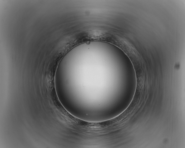 X0000094330653200711091406