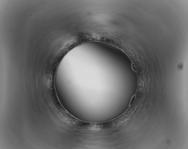 X0000094330656200711091406