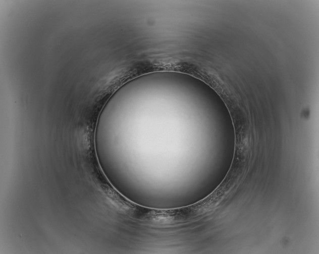 X0000094330658200711091406