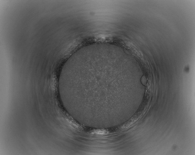 X0000094330659200711091406