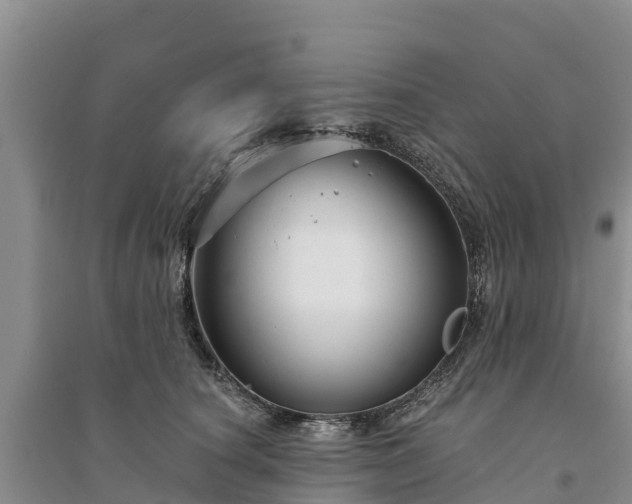 X0000094330660200711091406