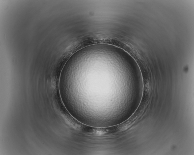 X0000094330662200711091406