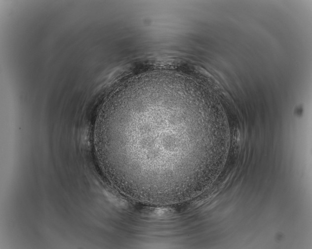 X0000094330663200711091406