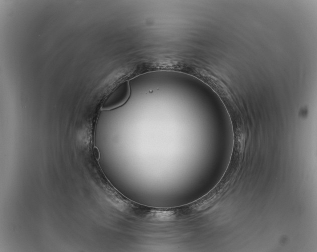 X0000094330665200711091406