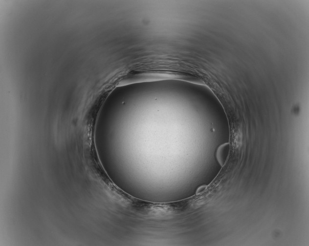 X0000094330666200711091406