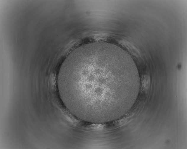 X0000094330667200711091406