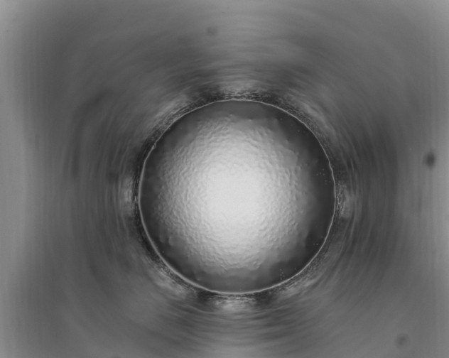 X0000094330670200711091406