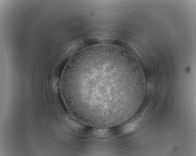 X0000094330671200711091406