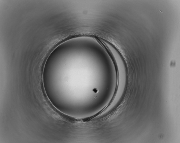 X0000094330673200711091406
