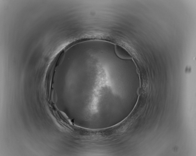 X0000094330674200711091406