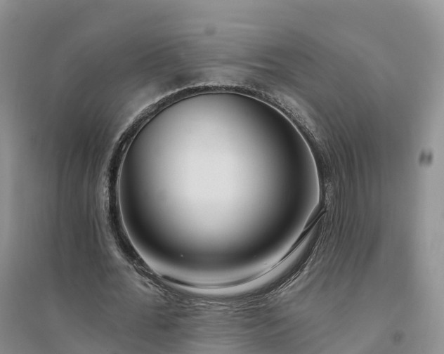 X0000094330676200711091406